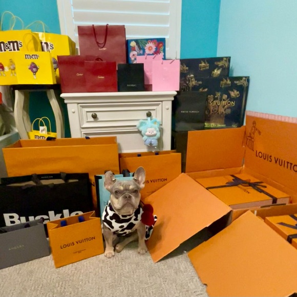 Zealous in all domains - Picture 16 of 16